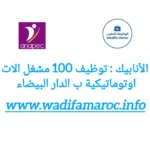 الأنابيك تعلن عن توظيف 100 مشغل آلات أوتوماتيكية في مجال الإنتاج الكهربائي والإلكتروني بجهة الدار البيضاء – النواصر