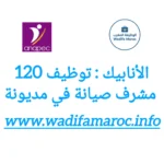 الأنابيك تعلن عن توظيف 120 مشرف صيانة في مديونة