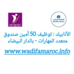 الأنابيك : توظيف 50 أمين صندوق متعدد المهارات – بالدار البيضاء