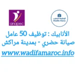 الأنابيك : توظيف 50 عامل صيانة حضري – بمدينة مراكش