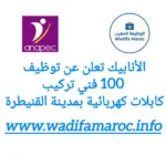 الأنابيك تعلن عن توظيف 100 فني تركيب كابلات كهربائية بمدينة القنيطرة