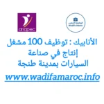 الأنابيك : توظيف مشغل إنتاج في صناعة السيارات بمدينة طنجة