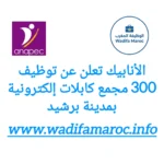 الأنابيك تعلن عن توظيف 300 مُجمِّع كابلات إلكترونية بمدينة برشيد