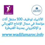 الأنابيك توظيف 100 مشغّل آلات مؤتمتة في مجال الإنتاج الكهربائي والإلكتروني بمدينة القنيطرة