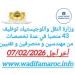 وزارة النقل واللوجيستيك تعلن عن توظيف 43 منصبًا في عدة تخصصات من مهندسين و متصرفين و تقنيين
