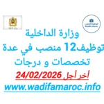 وزارة الداخلية توظيف 12 منصبًا في عدة تخصصات ودرجات – آخر أجل 24 فبراير 2026