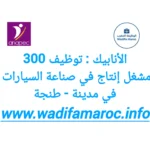 الانابيك : توظيف 300 مشغل إنتاج في صناعة السيارات في مدينة – طنجة