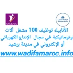 الانابيك : توظيف 100 مشغل آلات أوتوماتيكية في مجال الإنتاج الكهربائي أو الإلكتروني في مدينة – برشيد