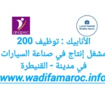 الانابيك : توظيف 200 مشغل إنتاج في صناعة السيارات في مدينة – القنيطرة