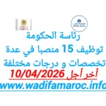 رئاسة الحكومة : توظيف 15 منصبًا في عدة تخصصات ودرجات مختلفة – آخر أجل 10 أبريل 2026