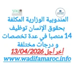 المندوبية الوزارية المكلفة بحقوق الإنسان : توظيف 14 منصبًا في عدة تخصصات ودرجات مختلفة – آخر أجل 13 أبريل 2026