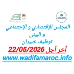 المجلس الإقتصادي والإجتماعي والبيئي توظيف خبيران آخر أجل 22 ماي 2026